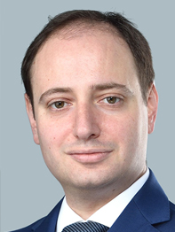 Гольдберг Михаил Анатольевич
